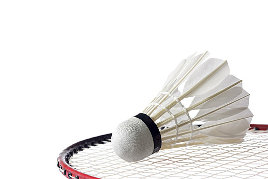 擁有諸如巴 擁有諸如巴